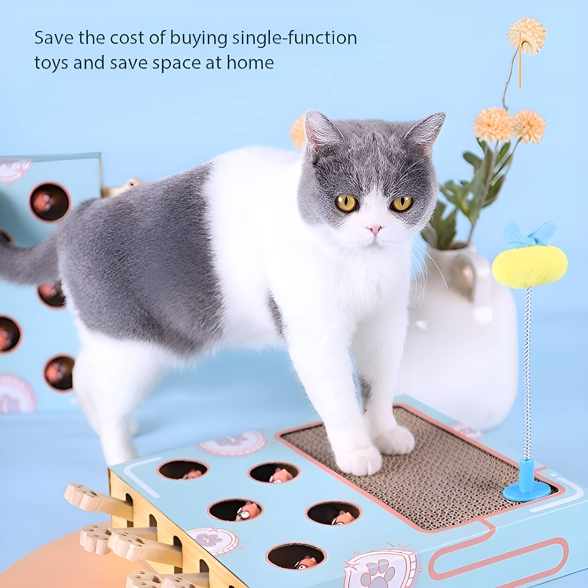 Katze, die ein Spielzeug betrachtet. Spielzeug im Hintergrund. Text: Sparen Sie die Kosten für den Kauf von Spielzeug.