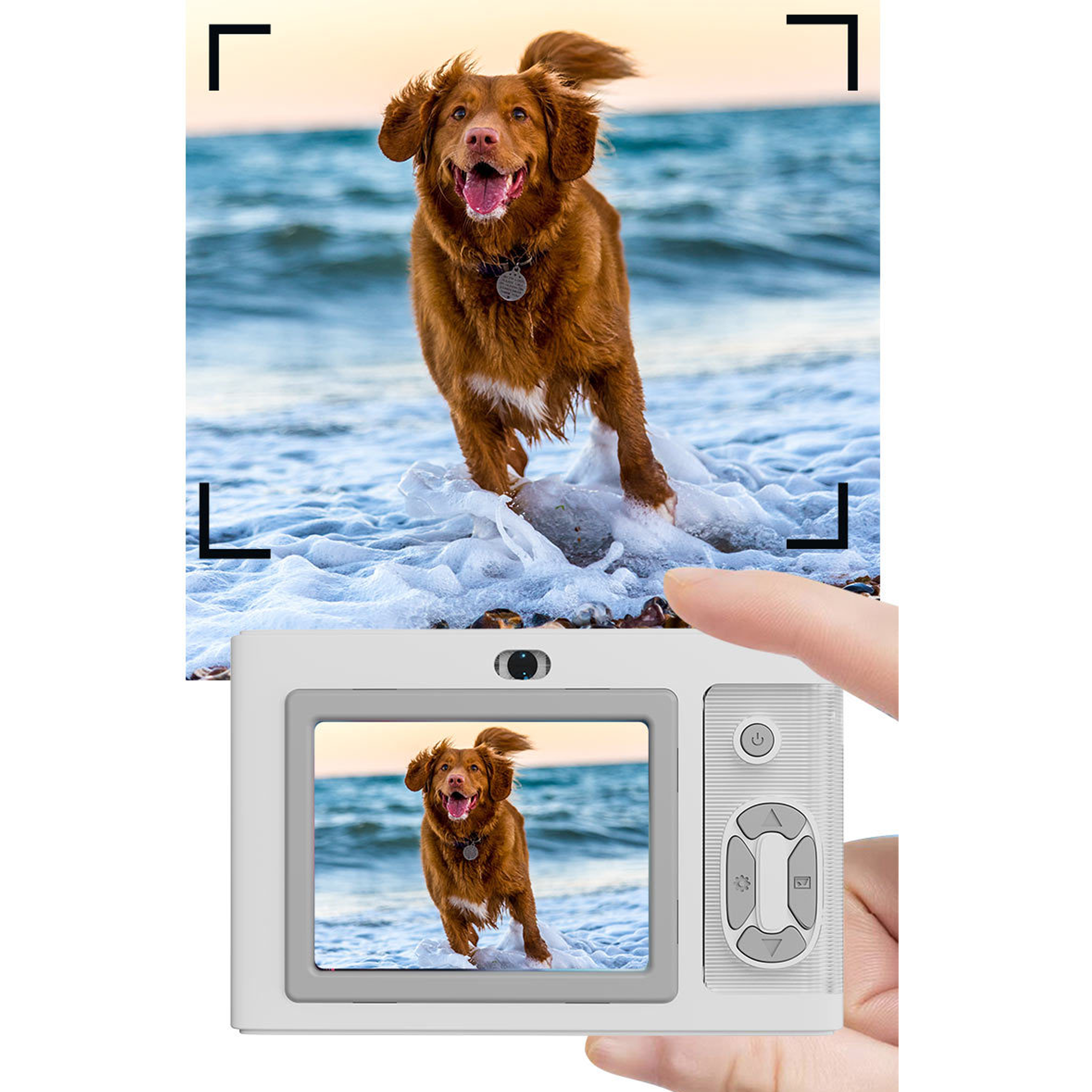 Eine Kamera macht ein Foto von einem Hund, der im Meer rennt. Das Foto erscheint auf dem Kamerabildschirm.