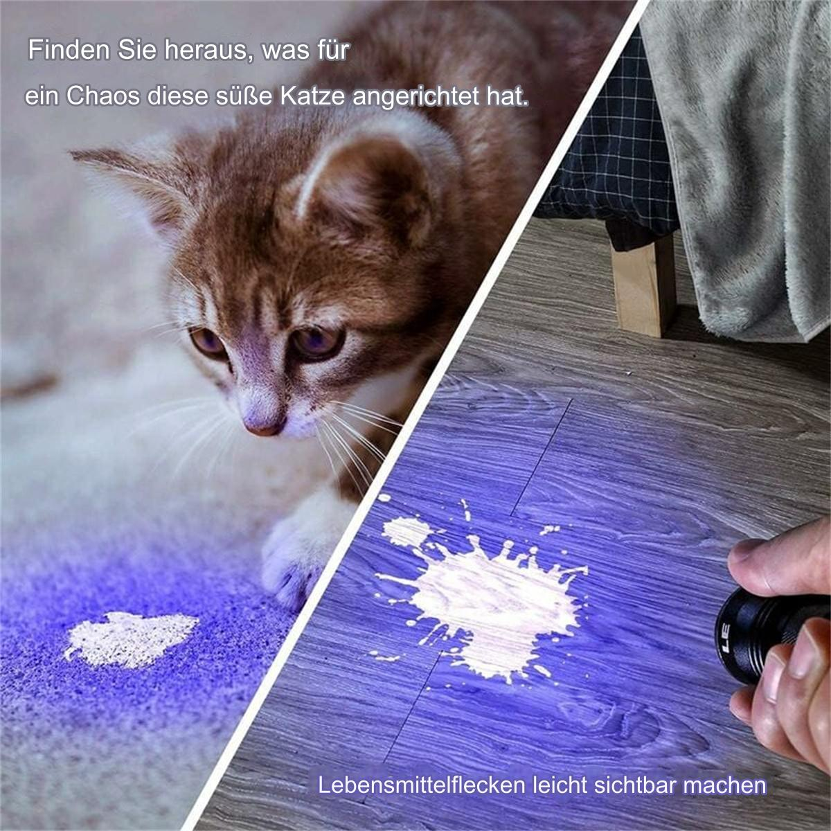 Eine Katze und eine Taschenlampe beleuchten einen Fleck auf Holzboden. Der Fleck ist blau hervorgehoben.