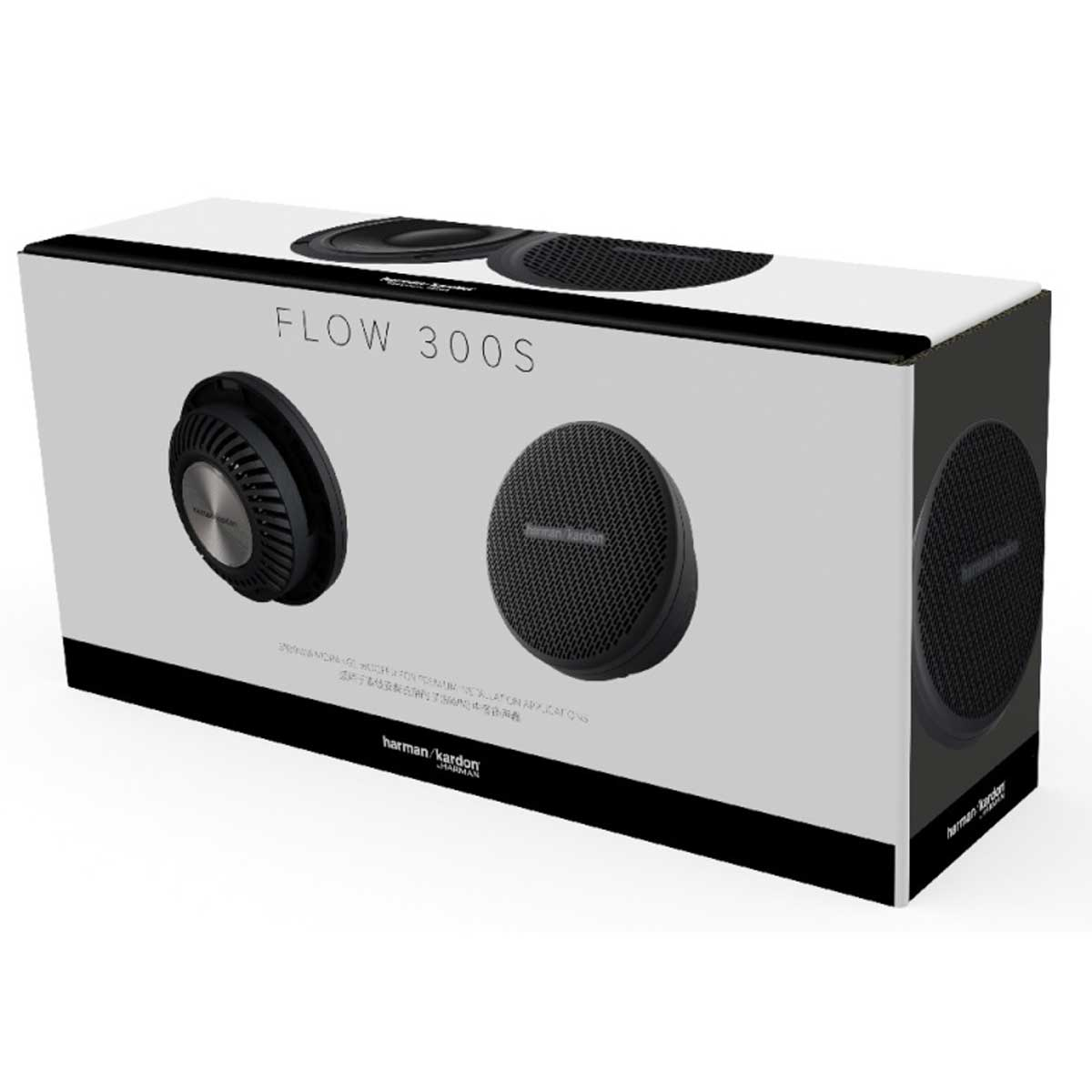 Weiße Box mit FLOW 300S. Enthält schwarze Lautsprecher. Der Hintergrund ist weiß.