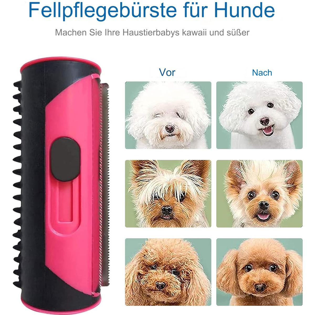 Rosa Haustierbürste und Vorher/Nachher-Fotos von gepflegten Hunden.