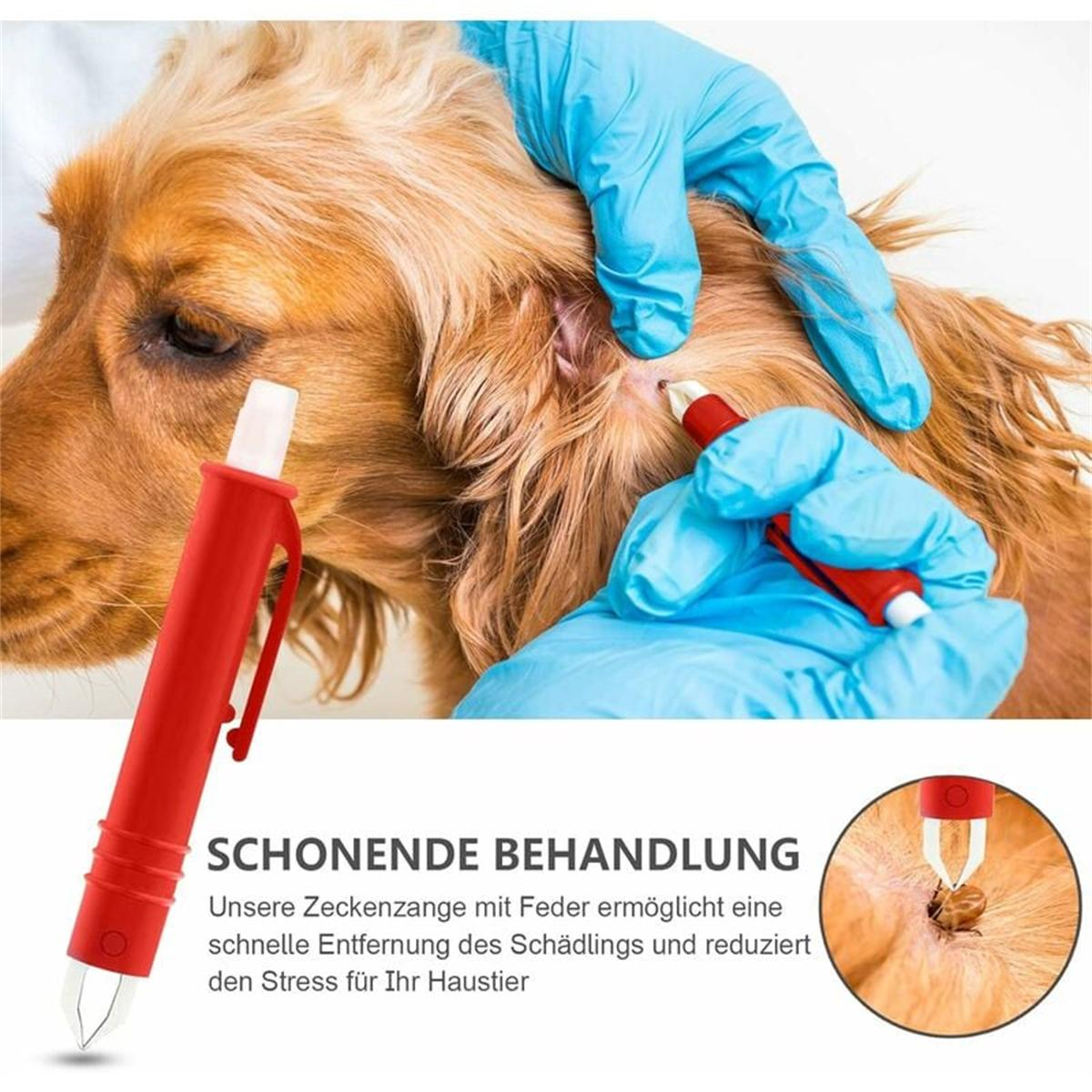 Werkzeug zum Entfernen von Zecken vom Hund. Roter Griff, silberne Gabel. Nahaufnahme der Zeckenentfernung.