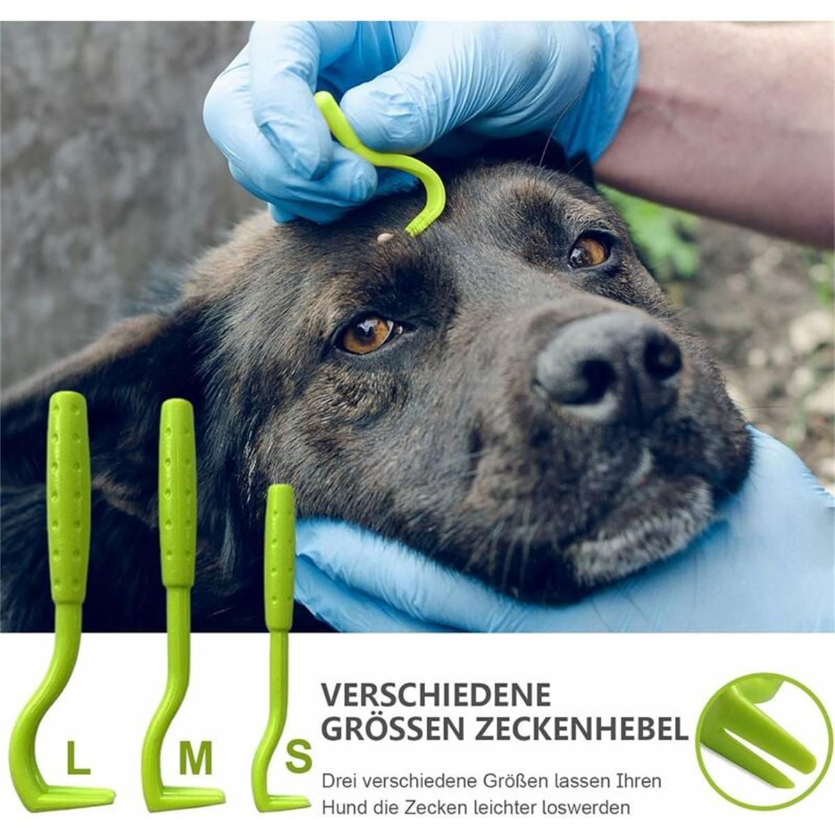 Eine behandschuhte Hand entfernt eine Zecke von einem Hund. Drei grüne Zeckenentfernungswerkzeuge im Vordergrund.