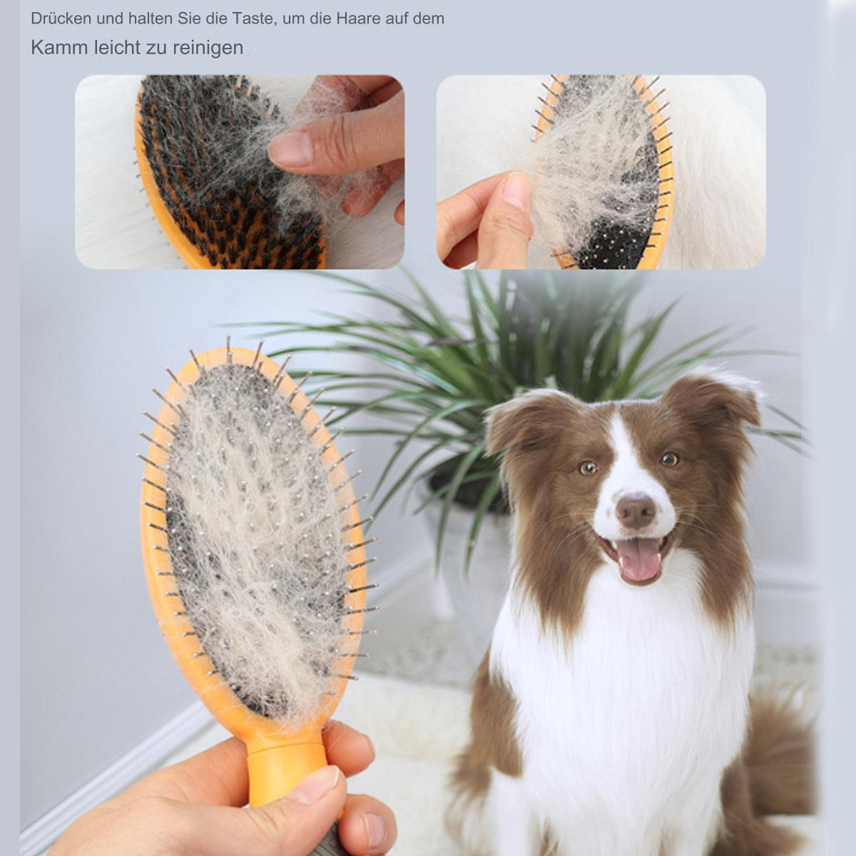 Ein Hund ist neben einer Bürste. Es gibt eine Nahaufnahme der Bürste, die Fell entfernt.
