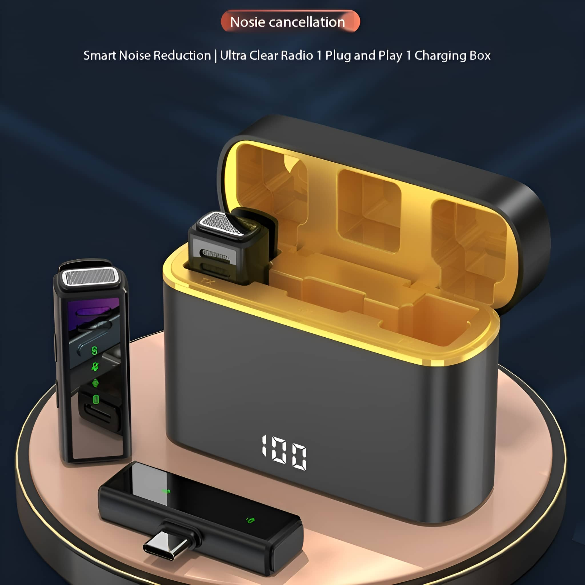 Schwarzes und goldenes Ohrhörer-Ladeetui mit Ohrhörern und USB-C-Adapter.
