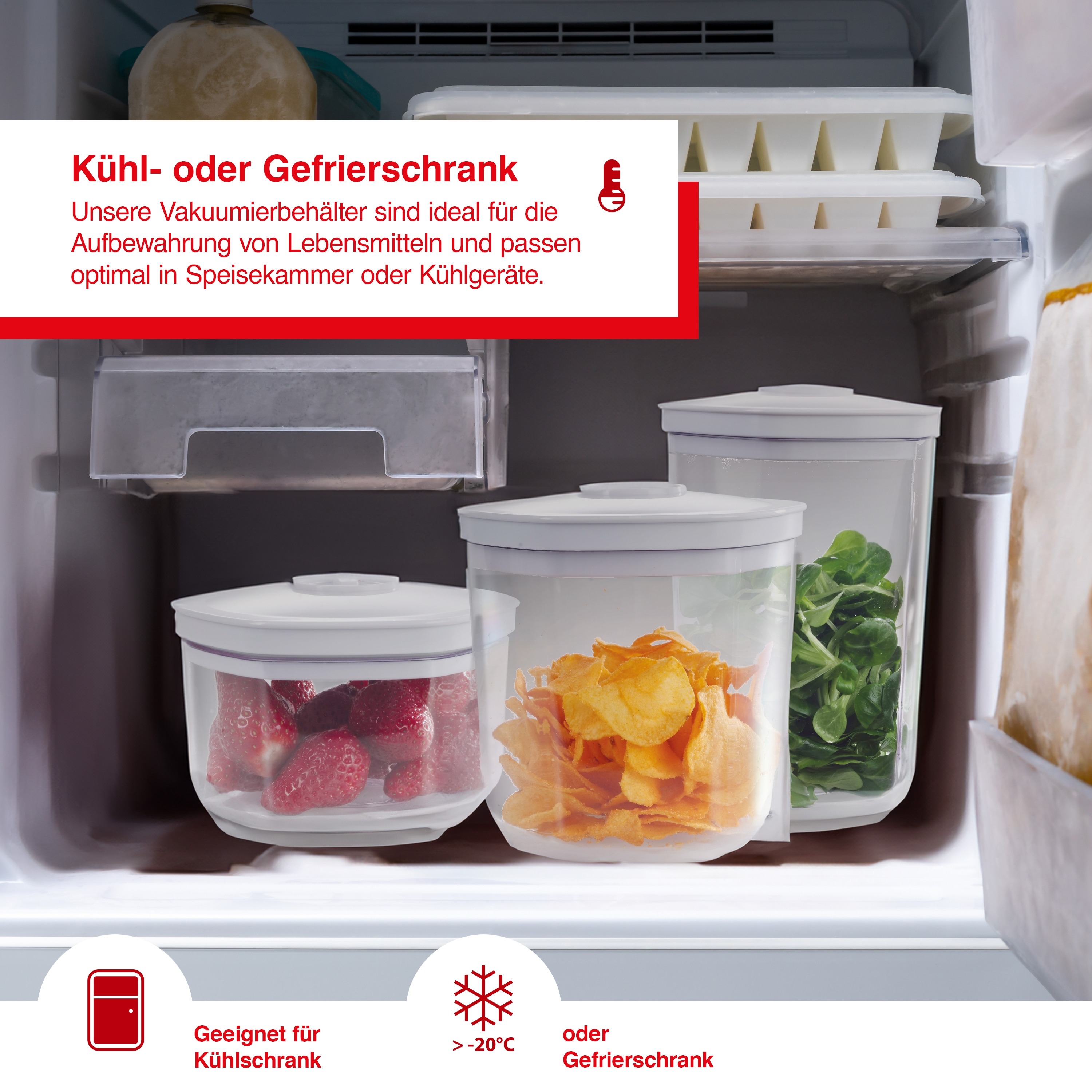 Kühlbehälter mit Essen; Erdbeeren, Chips, und Grünzeug. Text auf den Behältern.
