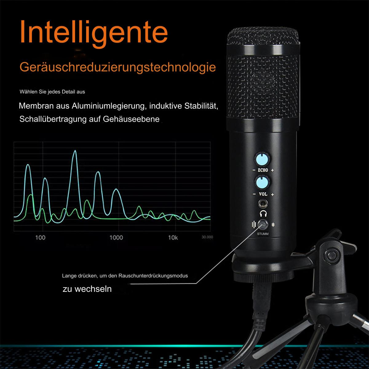 Schwarzes Mikrofon auf Ständer, mit Grafik, die Schallwellen zeigt, Text auf Deutsch.