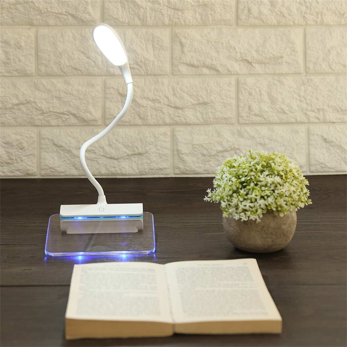 Schreibtischlampe mit Schwanenhals. Beleuchtet, neben einer kleinen Pflanze im Topf. Offenes Buch.