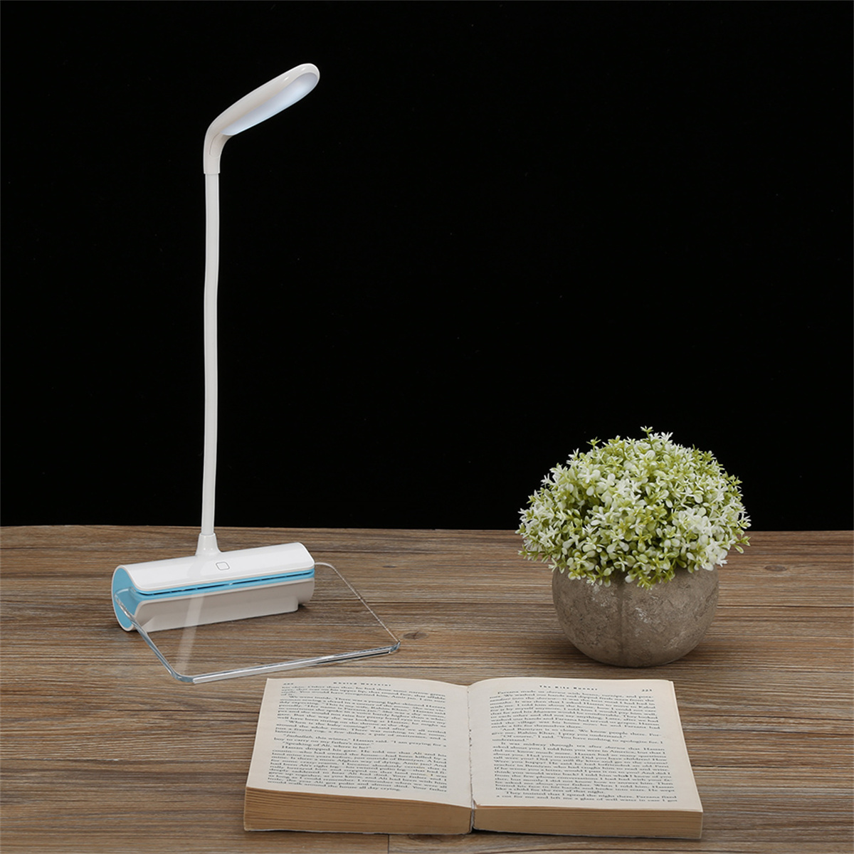 Eine Schreibtischlampe beleuchtet ein offenes Buch und eine kleine Pflanze. Der Hintergrund ist dunkel.