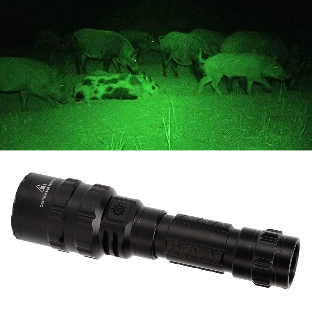 Schwarze Taschenlampe, die auf eine Gruppe von Schweinen in einer grün getönten Nachtsichtumgebung zeigt.