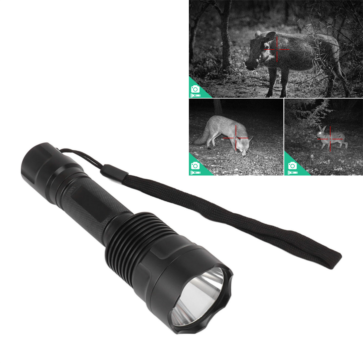 Eine schwarze Taschenlampe mit schwarzem Riemen und drei eingebetteten Bildern von Tieren im Dunkeln.