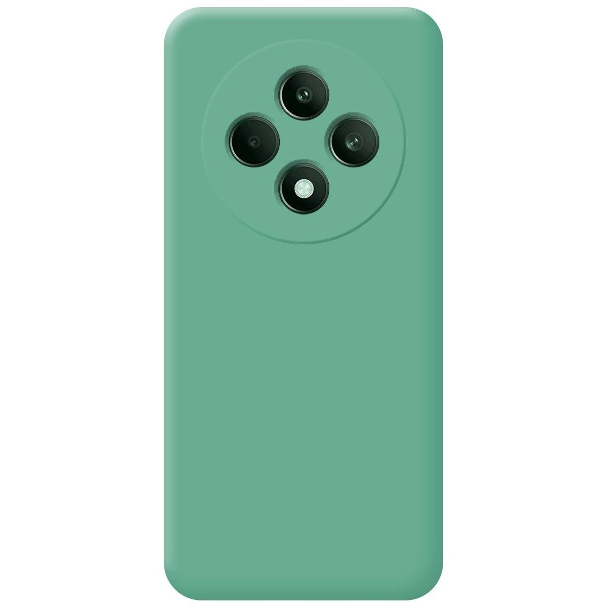 Una custodia per telefono verde acqua con il modulo fotocamera visibile in alto.