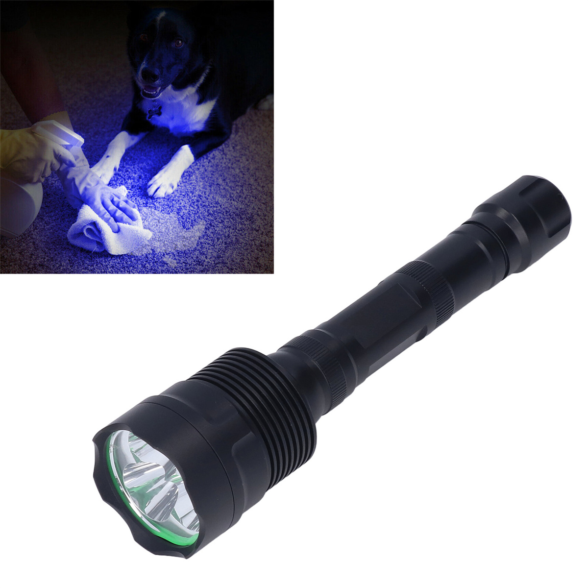 Schwarze Taschenlampe mit grünem Rand. Inset-Bild: eine Person reinigt mit blauem Licht und einem Hund.