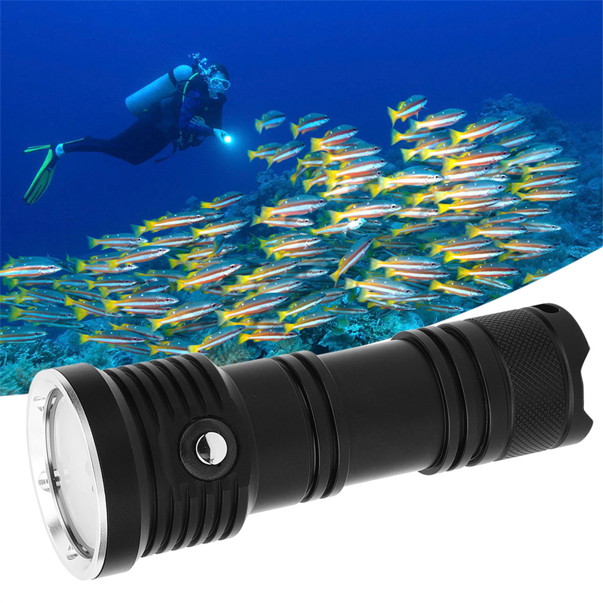 Ein Taucher im Ozean mit einer schwarzen Taschenlampe, die auf einen Fischschwarm im Hintergrund zeigt.