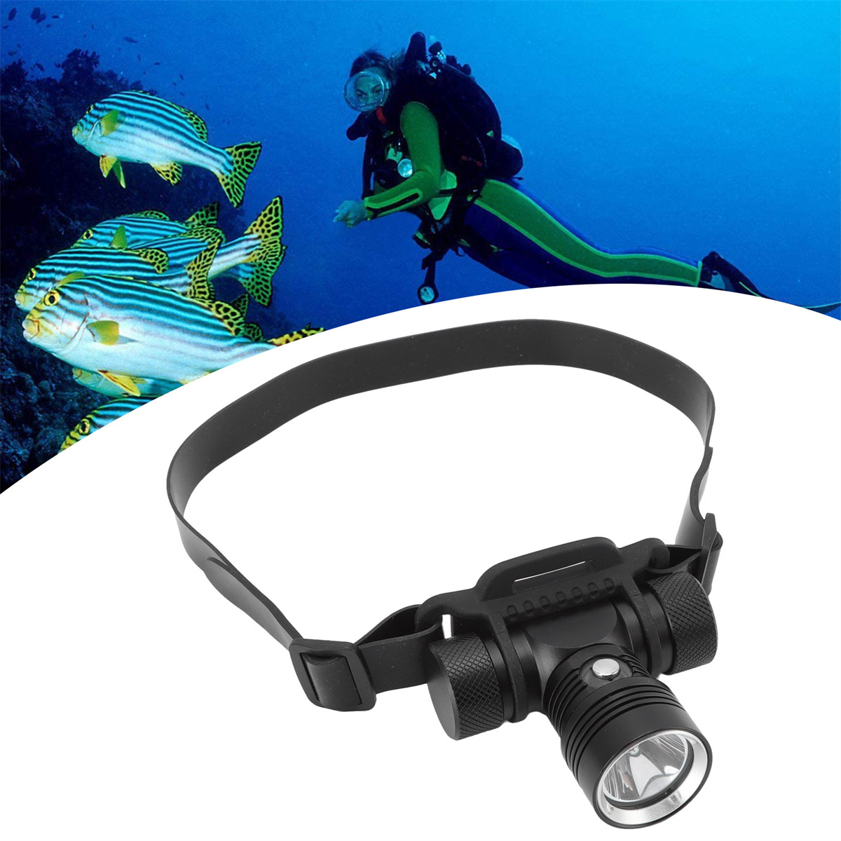 Ein Taucher mit Fischen, der eine Stirnlampe trägt. Hintergrund zeigt blaues Wasser.