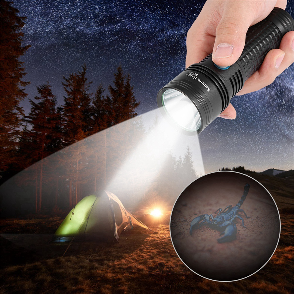 Hand hält Taschenlampe, die ein Zelt, Nachthimmel und einen Skorpion in einem Kreis beleuchtet.