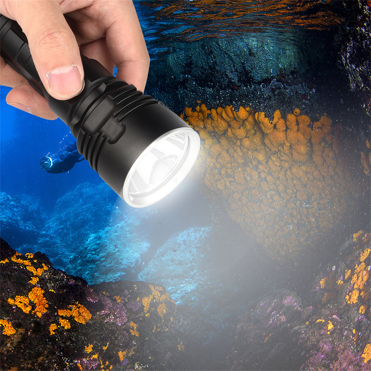 Hand hält eine schwarze Unterwasser-Taschenlampe, die hell ins Wasser leuchtet.