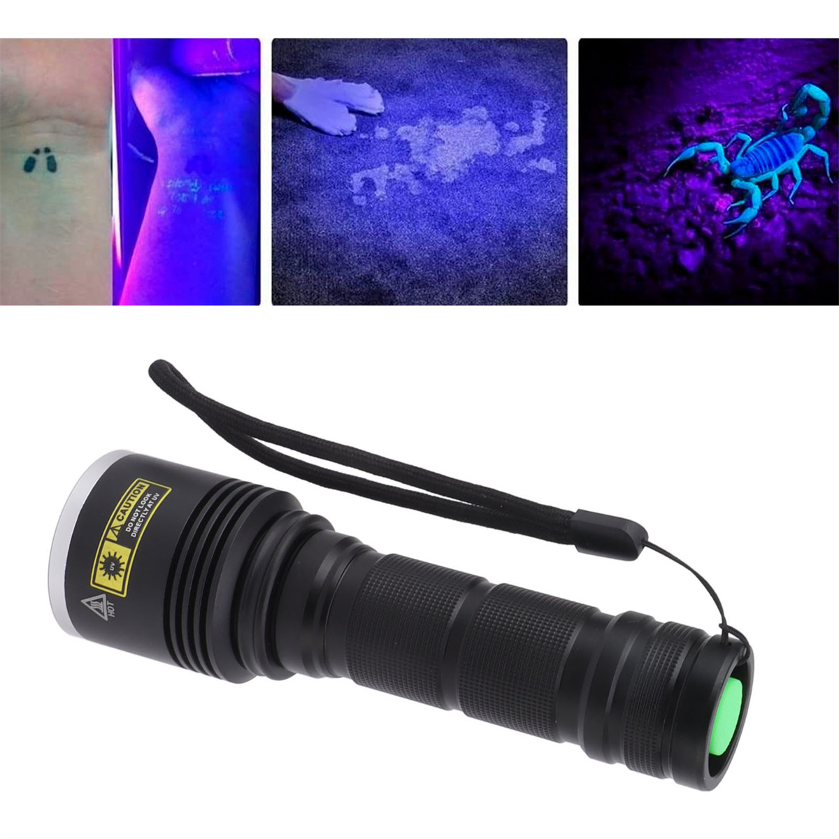 Eine schwarze Taschenlampe und verschiedene UV-Licht-Tests: Tattoo, Teppich und Skorpion.