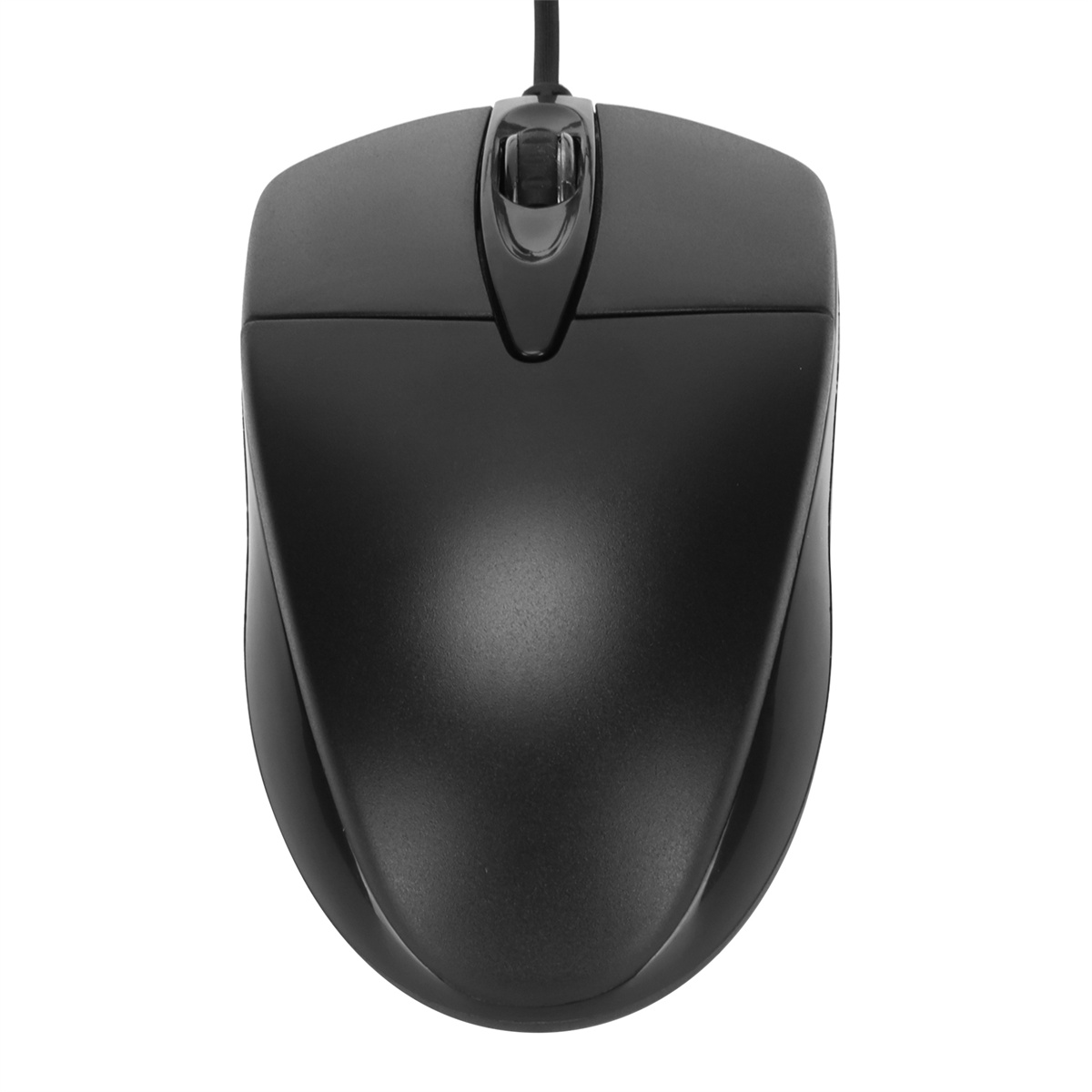 Eine schwarze Computermaus. Die Maus hat ein Scrollrad und zwei Tasten.
