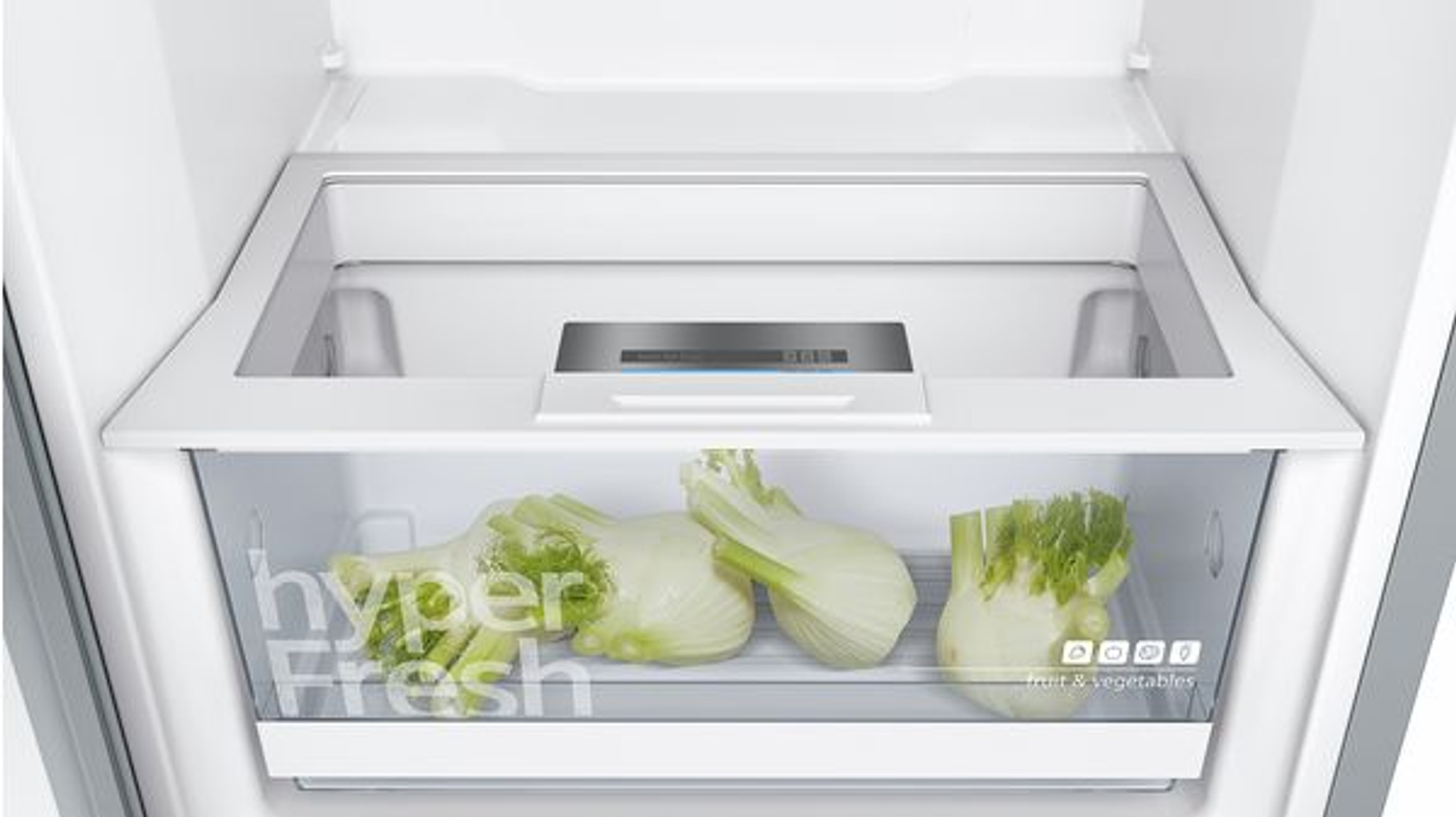 Cajón de nevera abierto con verduras. Hinojo y lechuga dentro. Interior blanco de la nevera.
