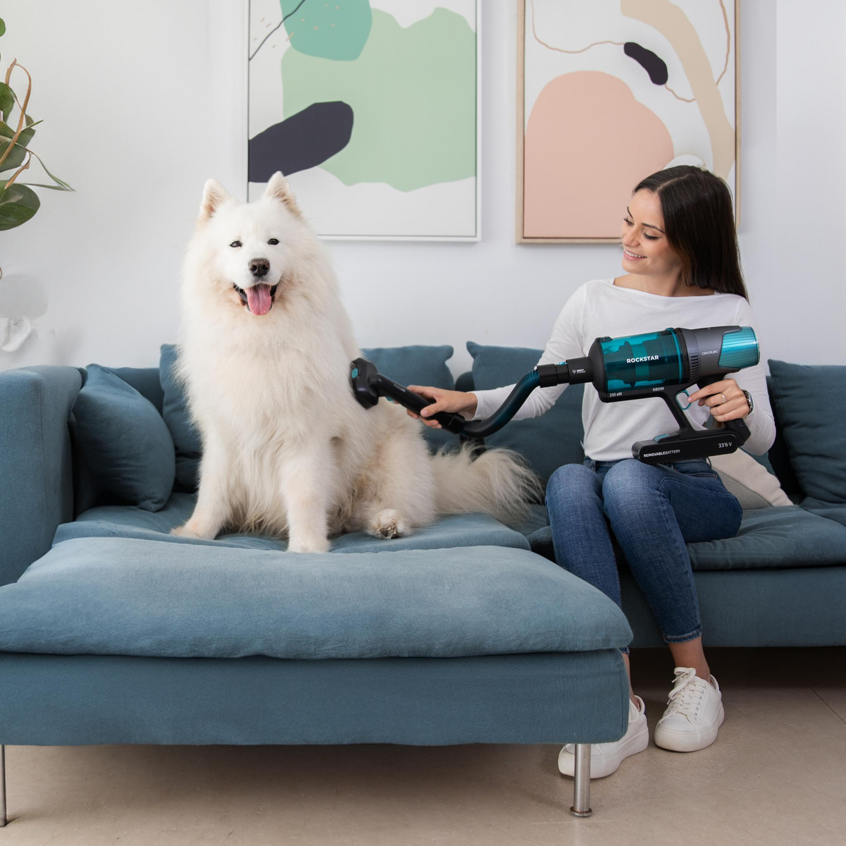 Donna che aspira un cane bianco su un divano blu. Due dipinti sullo sfondo.