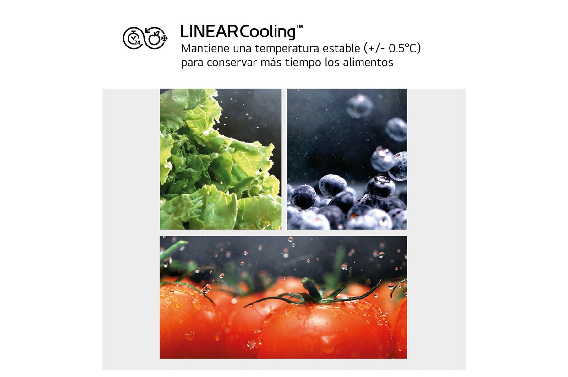 Primer plano de verduras y bayas en gotas de agua, con texto sobre temperatura estable.