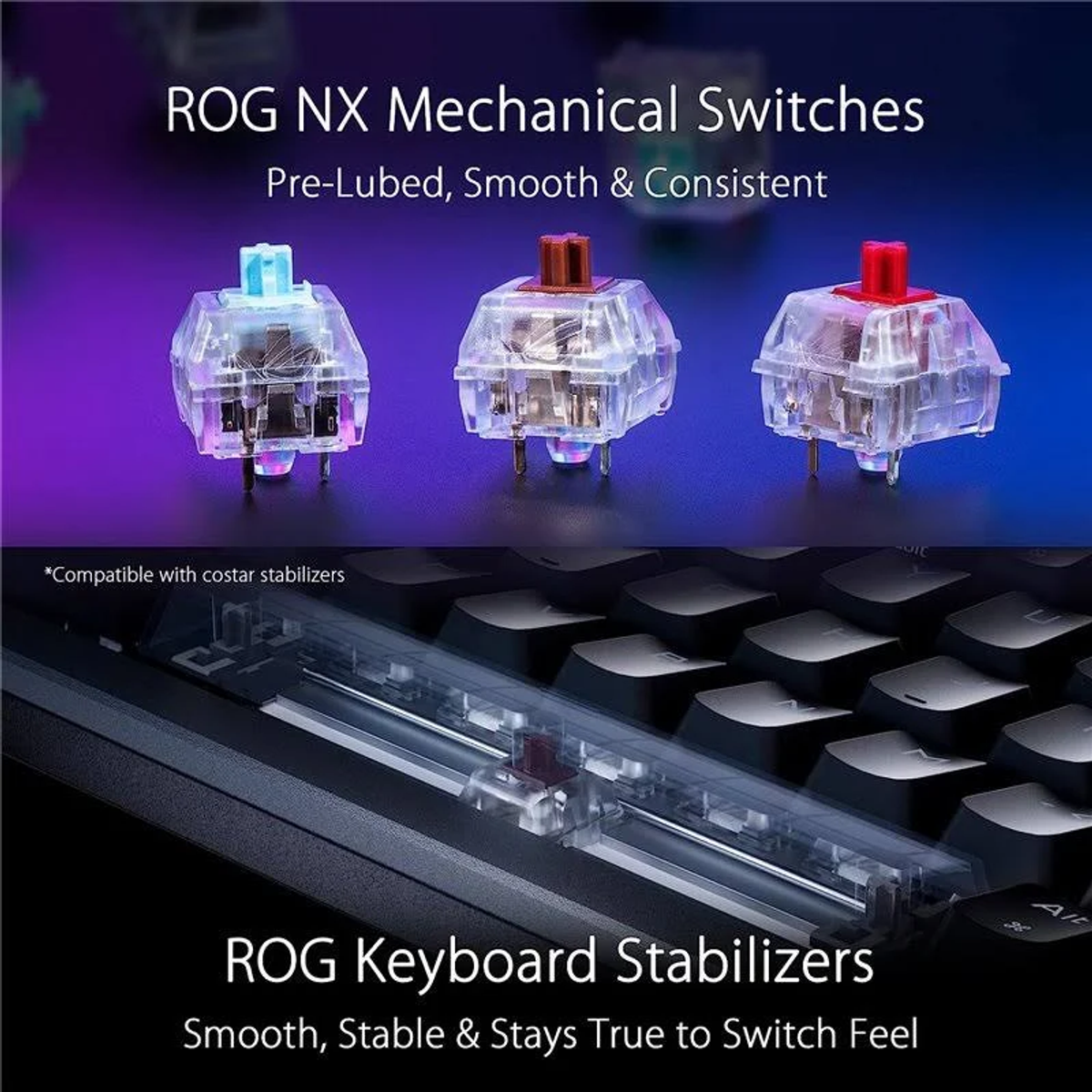 Interruttori meccanici ROG NX con alloggiamento trasparente, tre interruttori con steli colorati sulla tastiera.