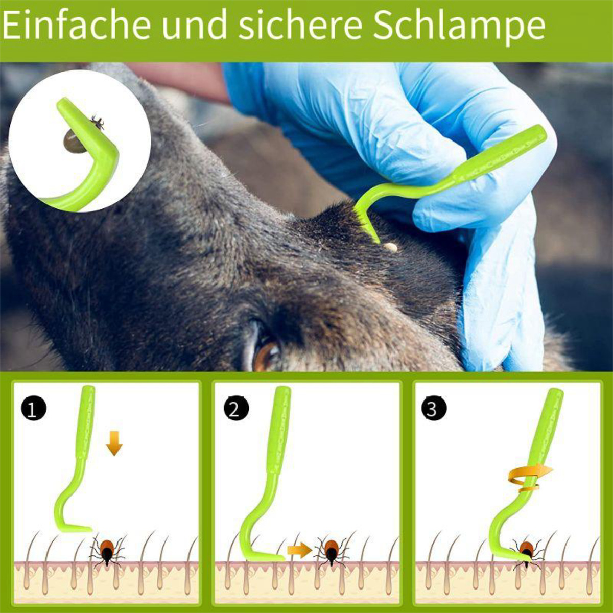 Grünes Zeckenentfernungswerkzeug, Nahaufnahme der Haut eines Hundes und Anwendungsschritte.