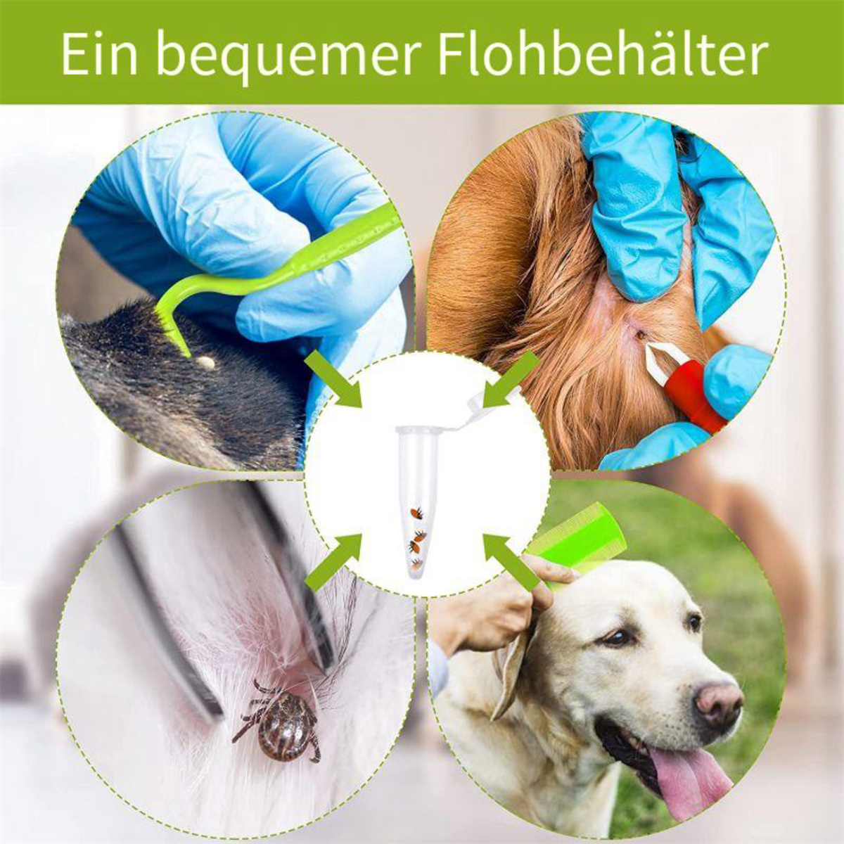 Bilder, die Floh-Entfernungswerkzeuge bei Haustieren mit Zecken zeigen. Enthält Flohbehälter.