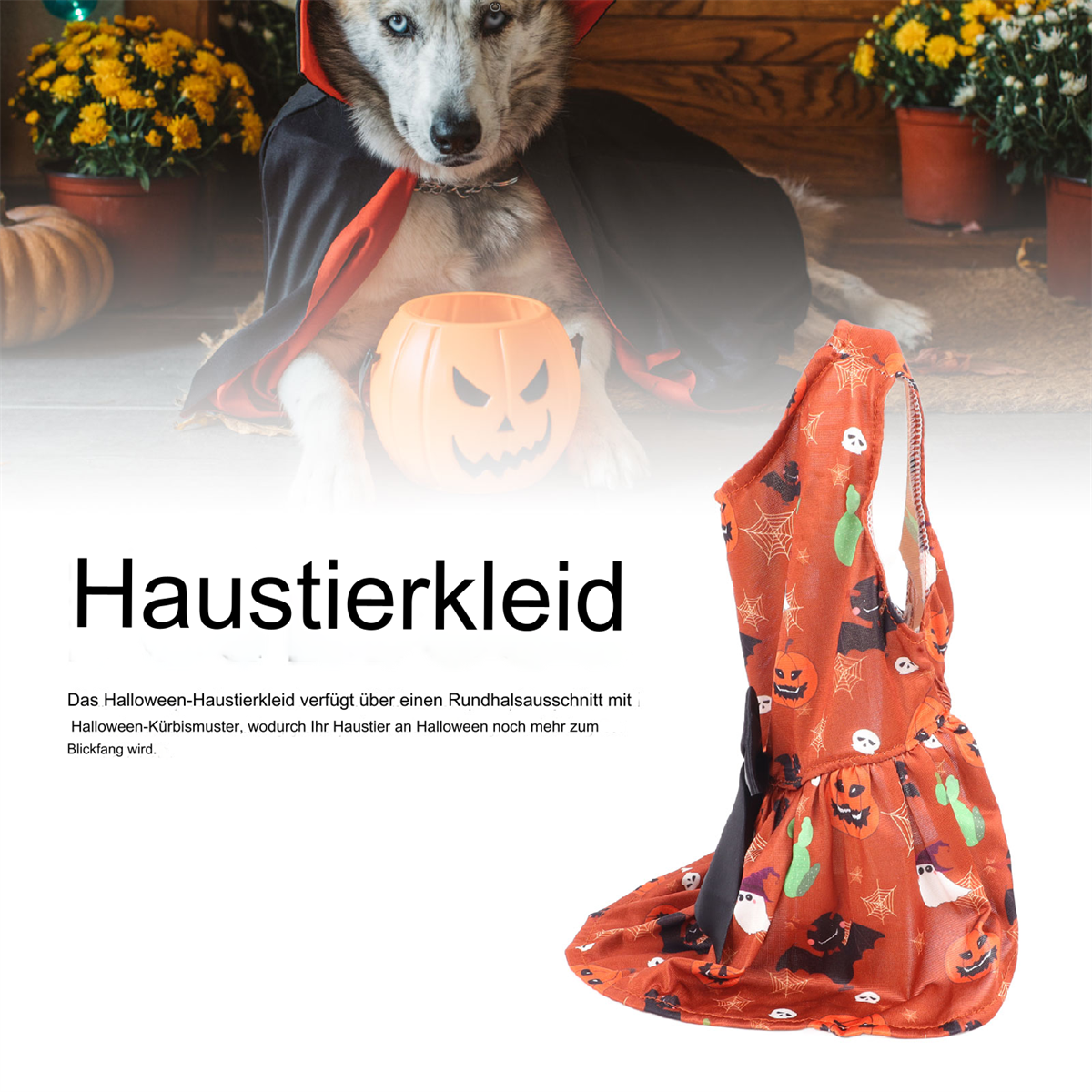 Hund im Halloween-Kostüm, mit Umhang und Kürbis-Eimer. Auf der rechten Seite ein orangefarbenes Kleid.