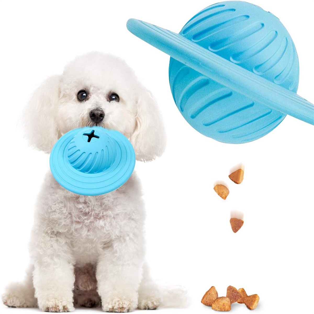 Weißer Hund mit einem blauen Spielzeug im Maul, ein weiteres Spielzeug oben und Futter.