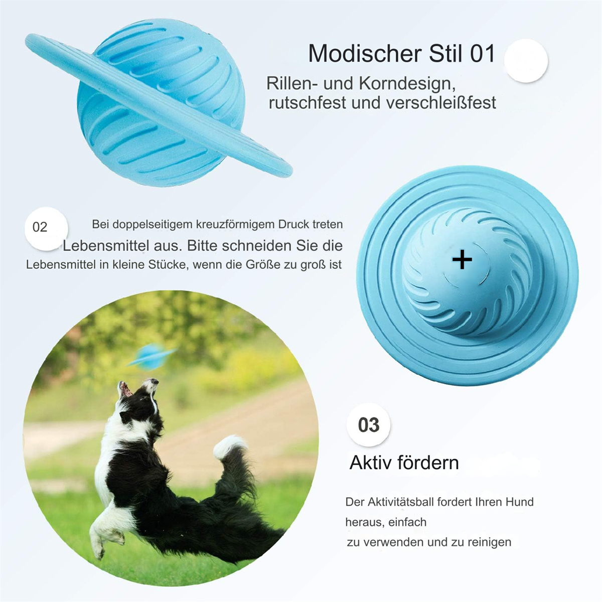 Hund springt nach blauem Spielzeug, mit Text über Eigenschaften und Vorteile des Spielzeugs.