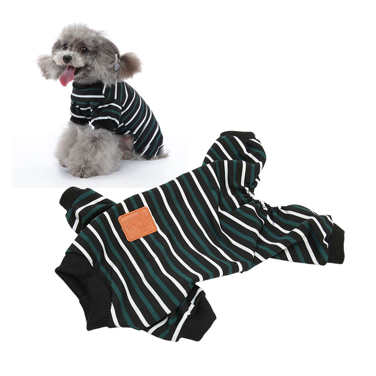 Ein kleiner Hund, der ein grün-schwarz gestreiftes Outfit trägt. Ein weiteres Outfit liegt daneben auf dem Boden.
