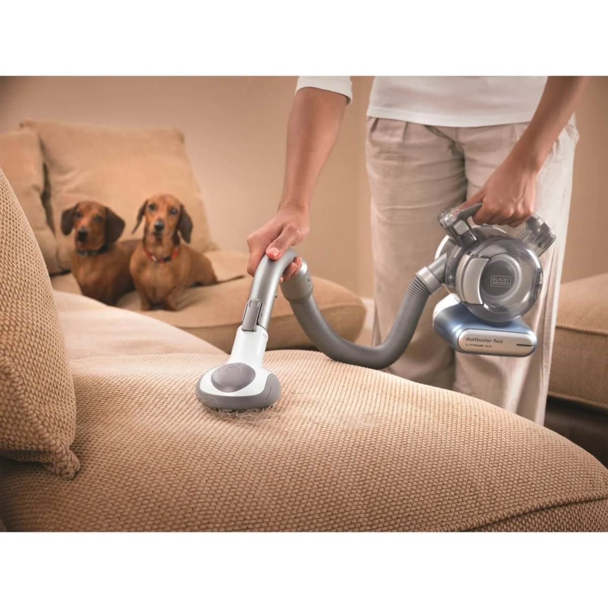 Personne passant l'aspirateur sur un canapé beige, deux teckels assis près.