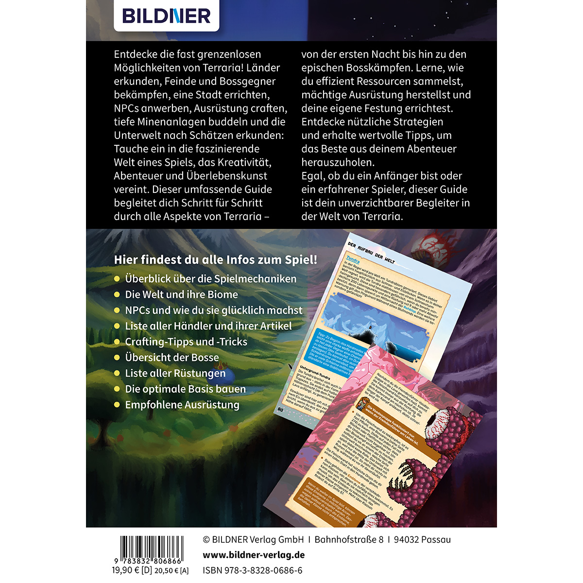 Buchcover über das Spiel Terraria, mit Text und Bildern, weißer Hintergrund.