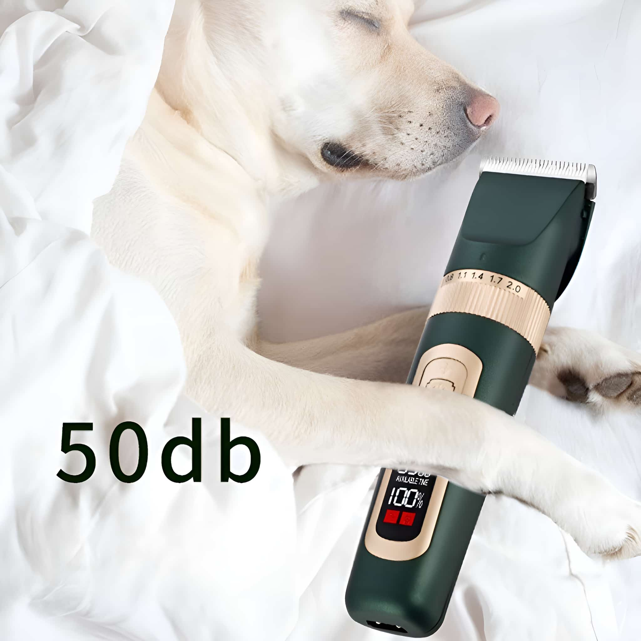 Schlafender Hund in weißen Laken mit einem dunkelgrünen und goldenen Haarschneider.