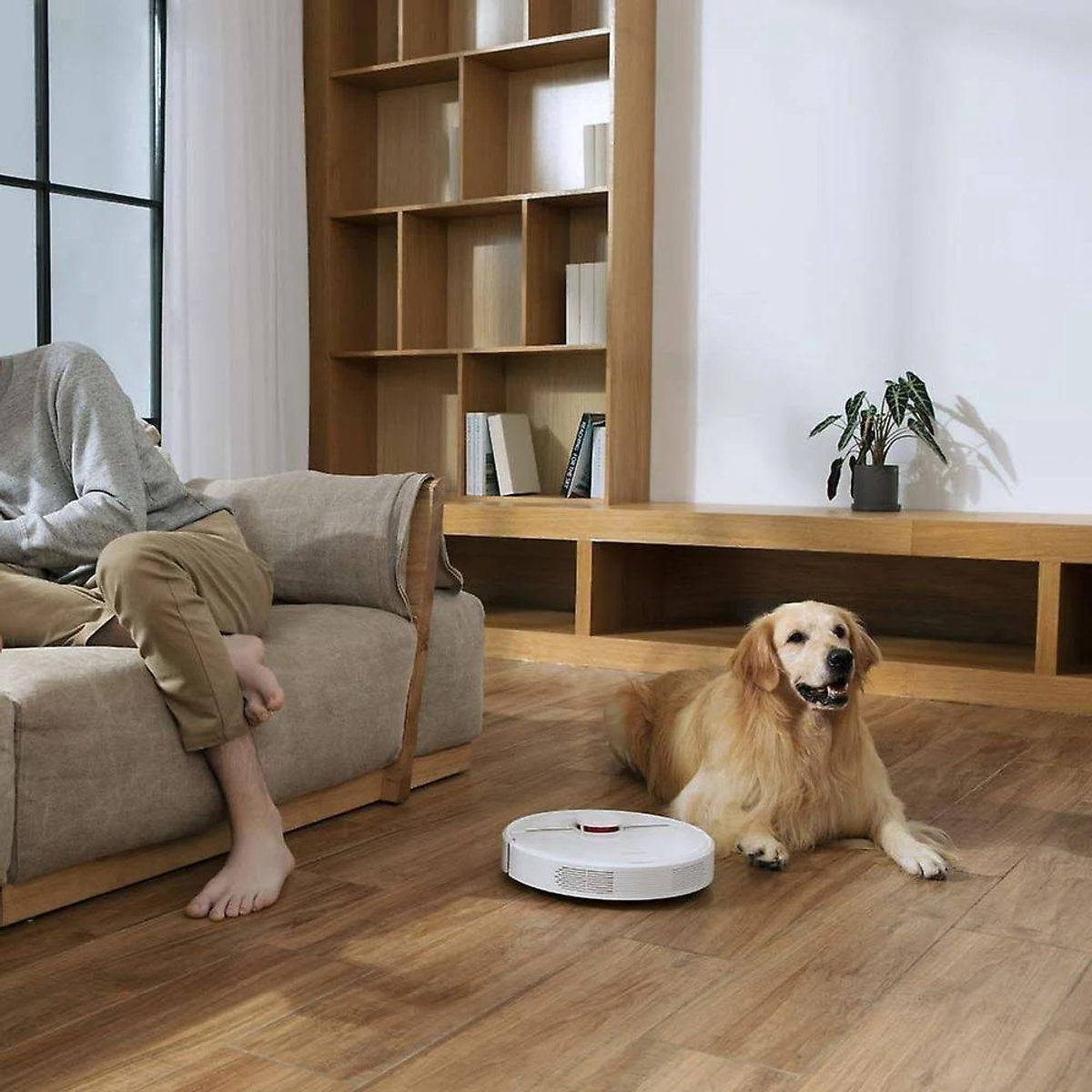 Un uomo seduto su un divano con un golden retriever. Un aspirapolvere robot sul pavimento in legno.