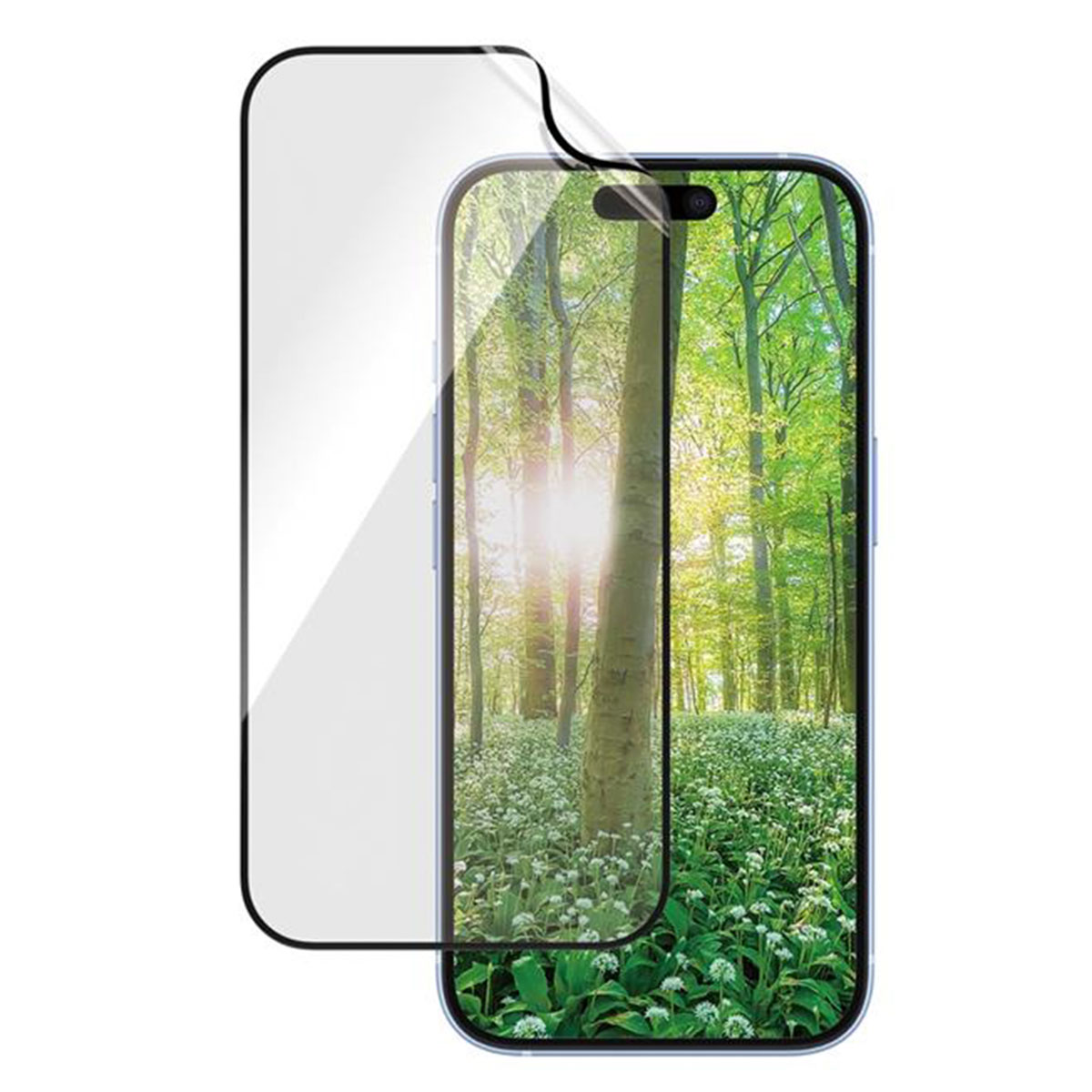 Telefono con protezione schermo applicata, che mostra una scena della foresta.
