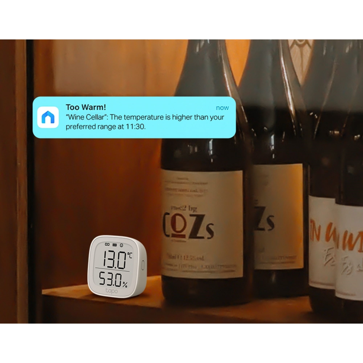 Un appareil Tapo blanc affichant la température à 13,0°C et 53,0 %, avec des bouteilles de vin en arrière-plan.