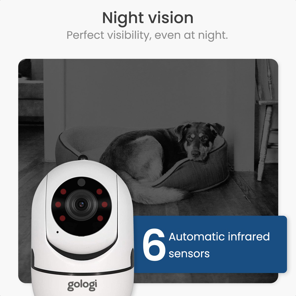 Überwachungskamera und Hund im Bett. Die Kamera hat rote Lichter. Text: "Nachtsicht".