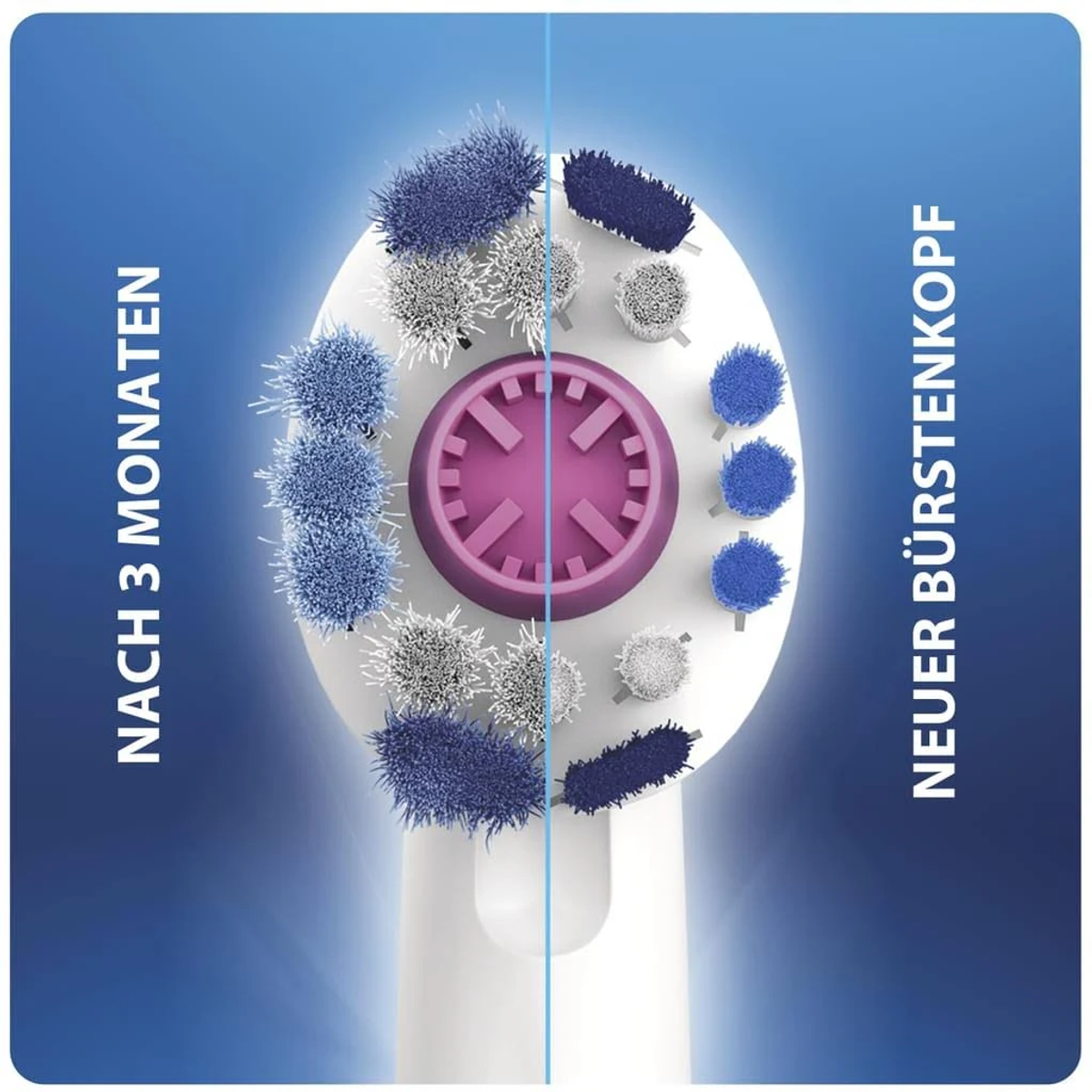 Główka szczoteczki do zębów pokazująca stare i nowe włosie. Jest biała i fioletowa, z niebieskim i białym włosiem.