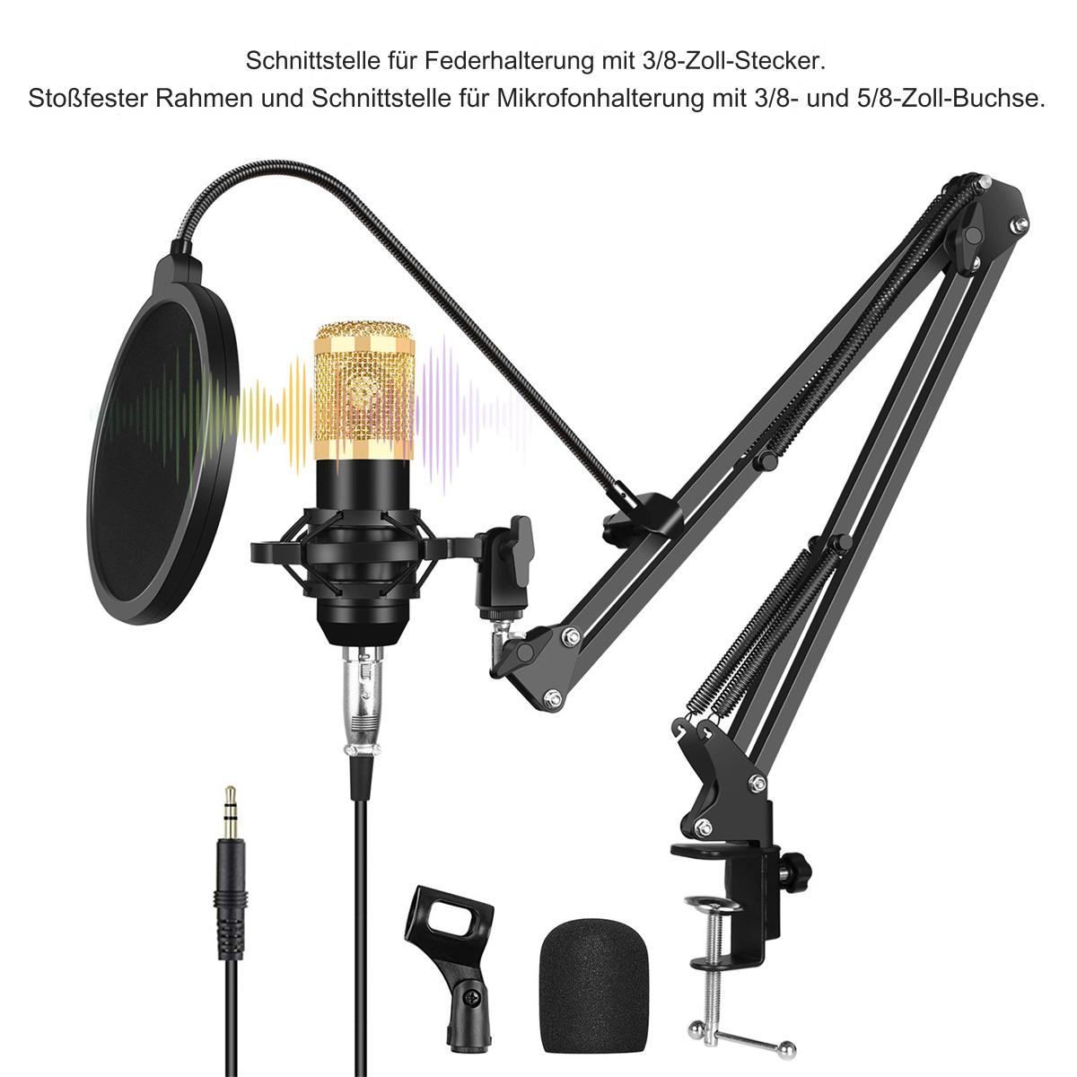 Ein schwarzes Mikrofon-Setup mit Pop-Filter, Stoßdämpfer und verstellbarem Arm, vor weißem Hintergrund.