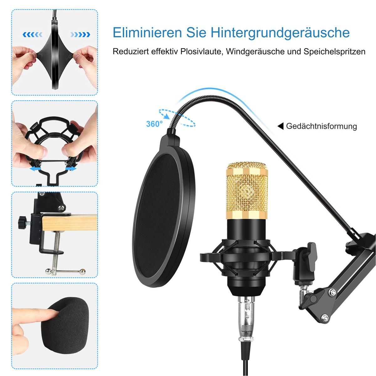 Mikrofon mit Pop-Filter und Stoßdämpfer. Der Text erklärt, wie man ihn einrichtet.