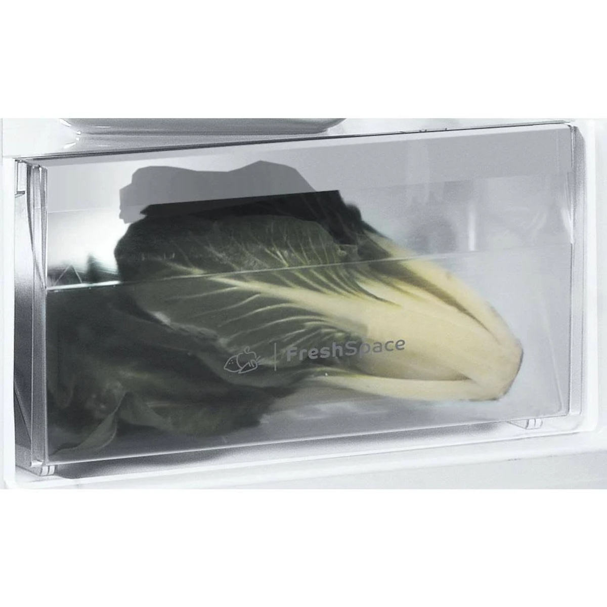 Dentro de un cajón de nevera: lechuga en un recipiente transparente, etiquetado FreshSpace.