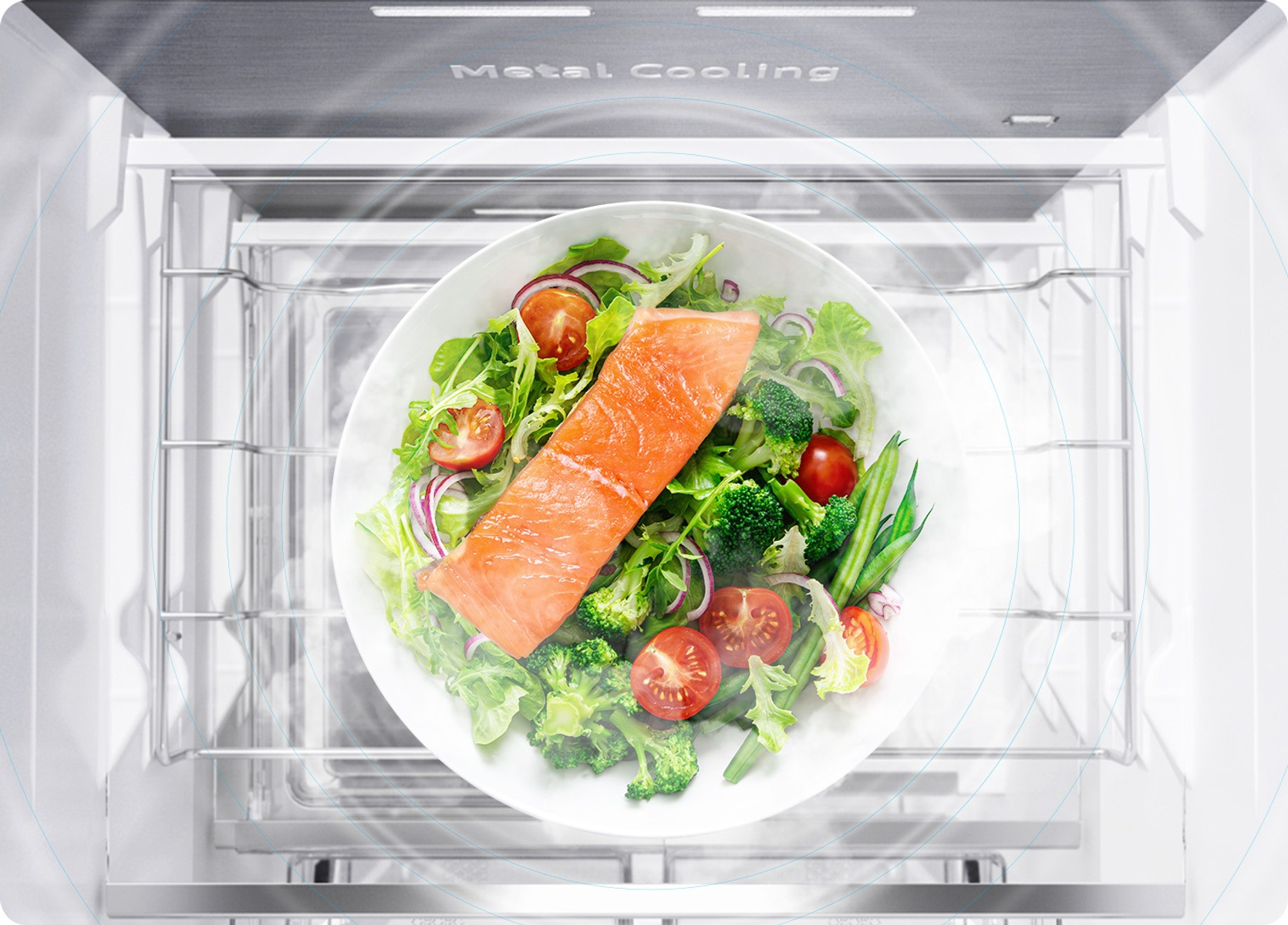 Vista cenital de un plato con ensalada y salmón dentro de un compartimento de refrigerador.