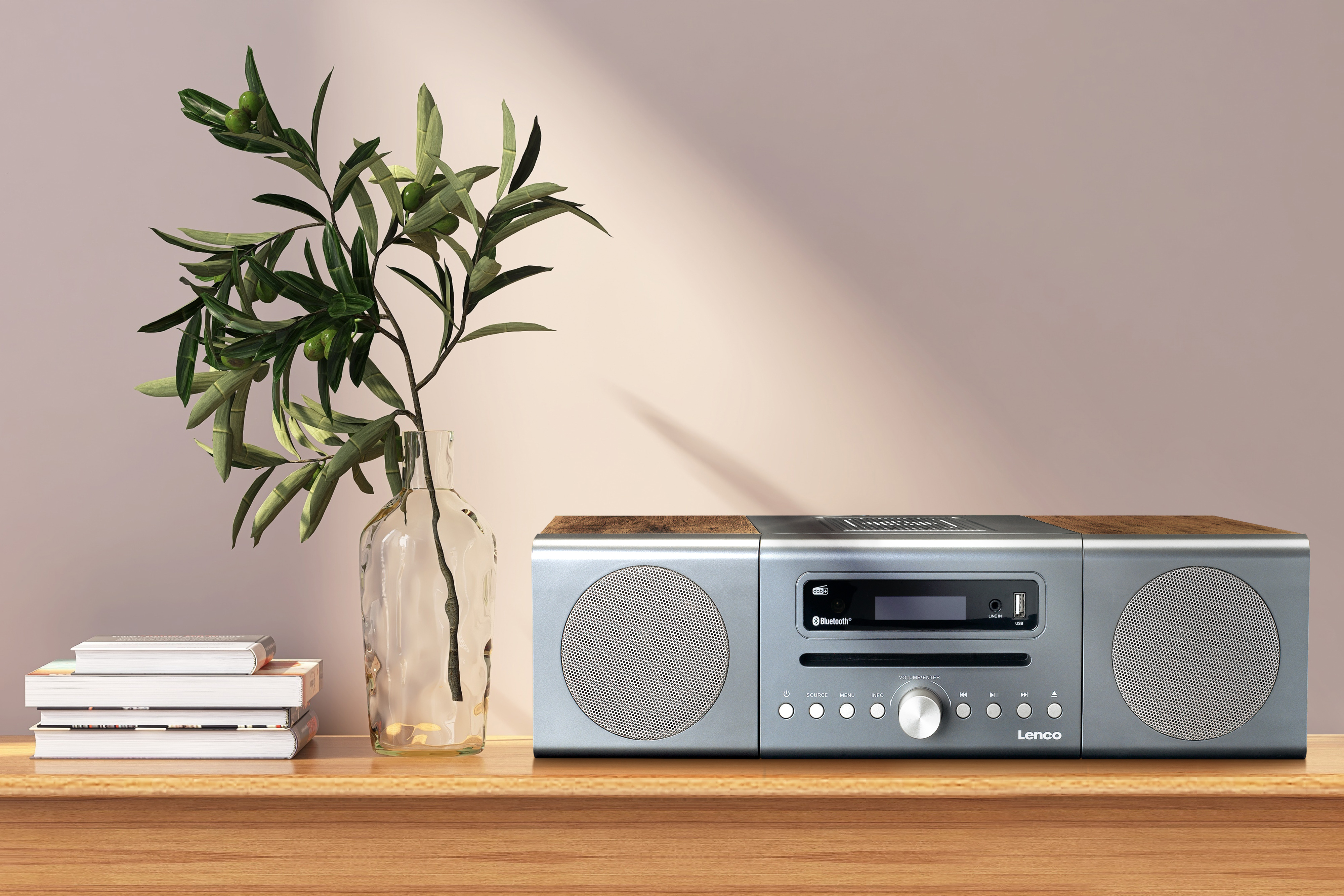 Radio argento con altoparlanti, vaso con rami e libri su una superficie in legno.