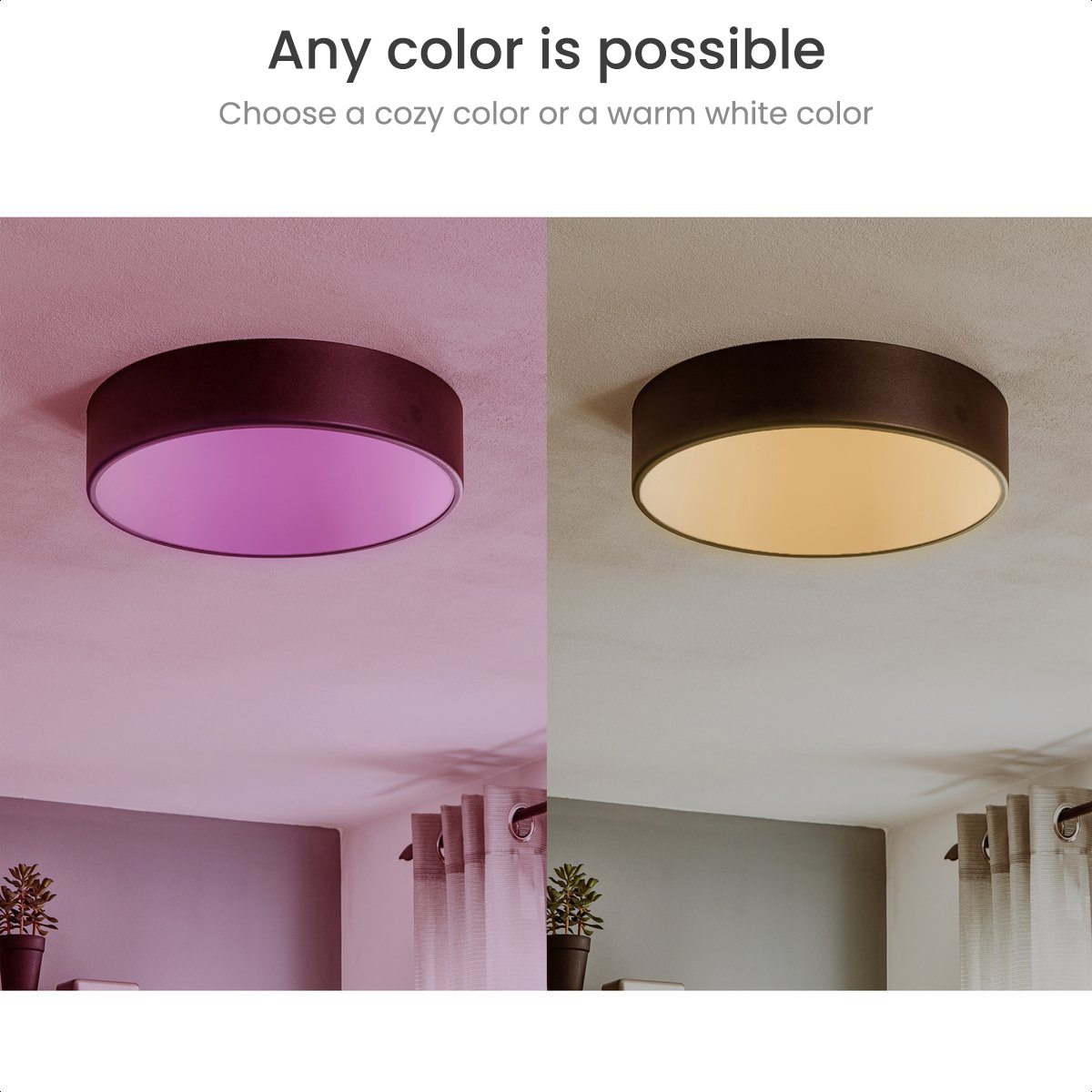 Two ceiling lights, one with purple light, another with yellow light.