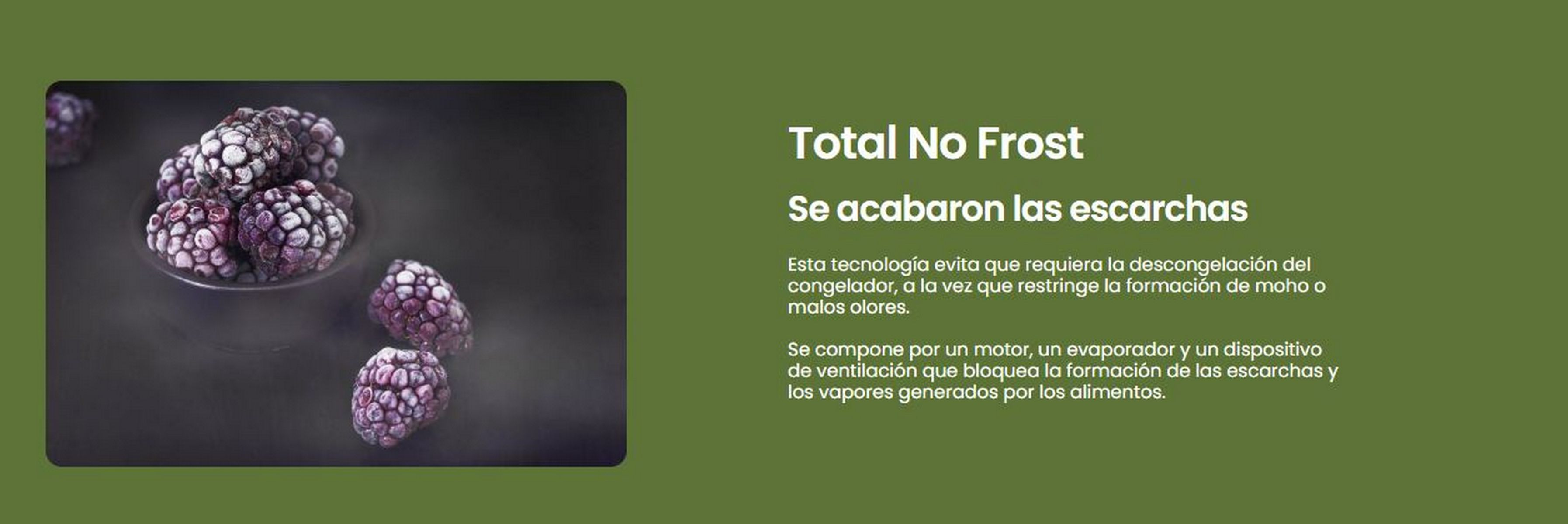 La imagen muestra moras en un cuenco, con texto sobre 