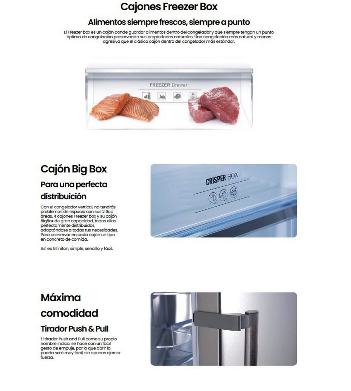 Interior de refrigerador con compartimentos detallados. Imágenes de alimentos. Texto en español. Fondo blanco.