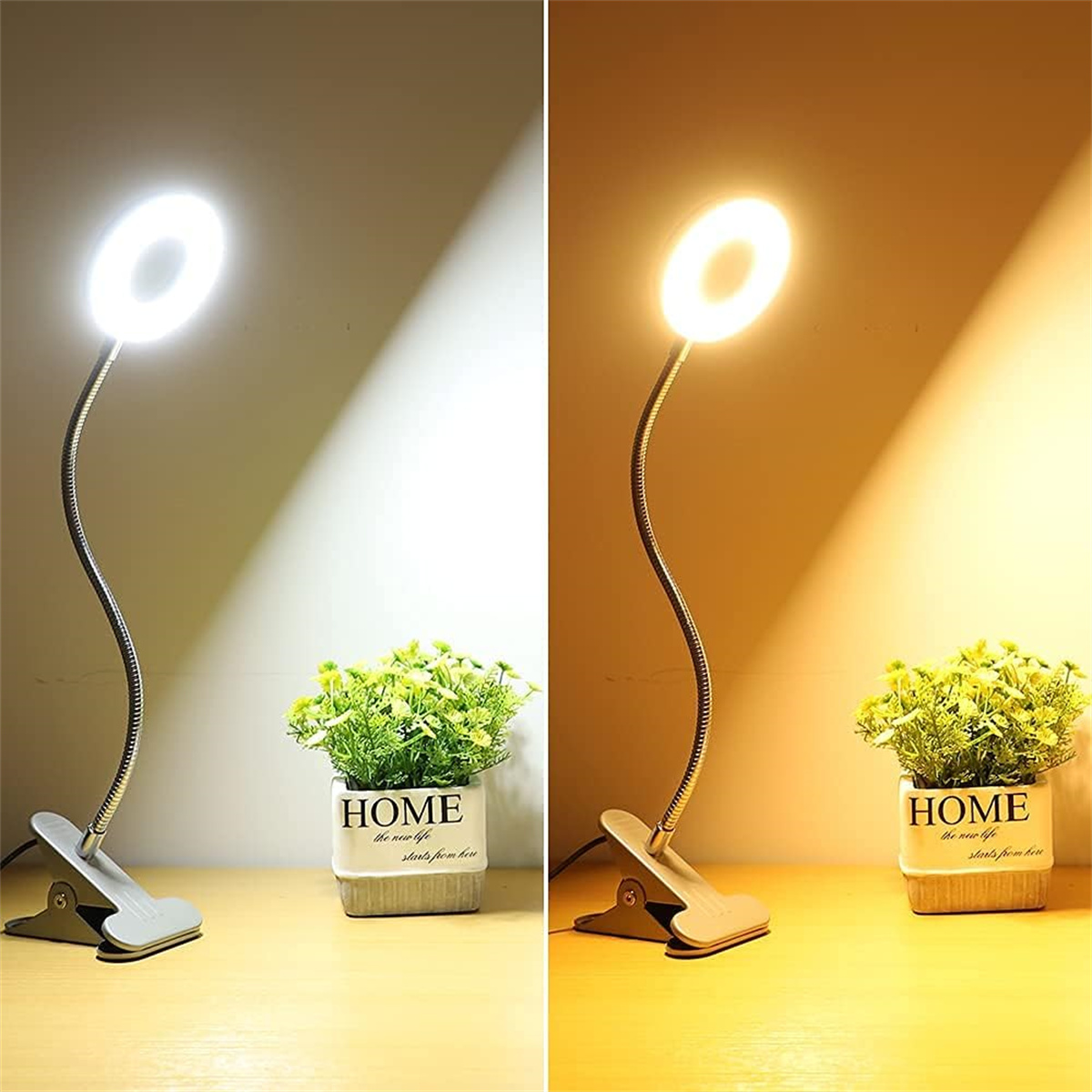 Zwei Schreibtischlampen mit Ringlichtern, eine mit warmem und eine mit weißem Licht.